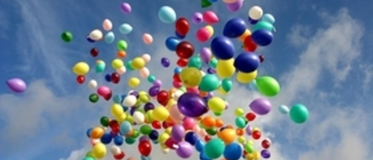 Opinie| Één leidend kader voor lerarenopleidingen